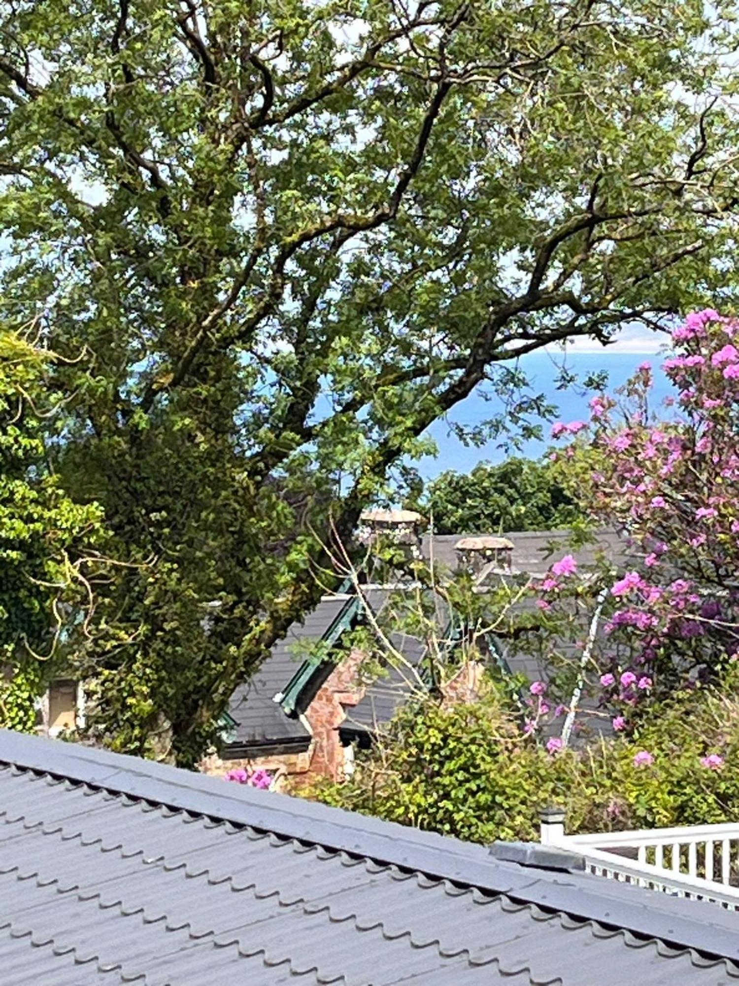 Ocean View At Glade * Bucks Mills