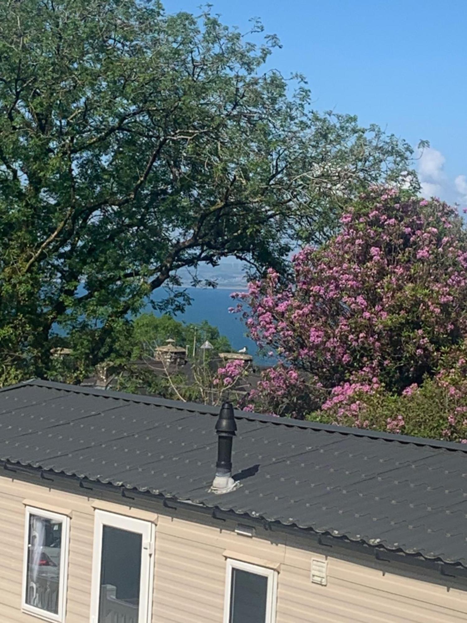 Ocean View At Glade